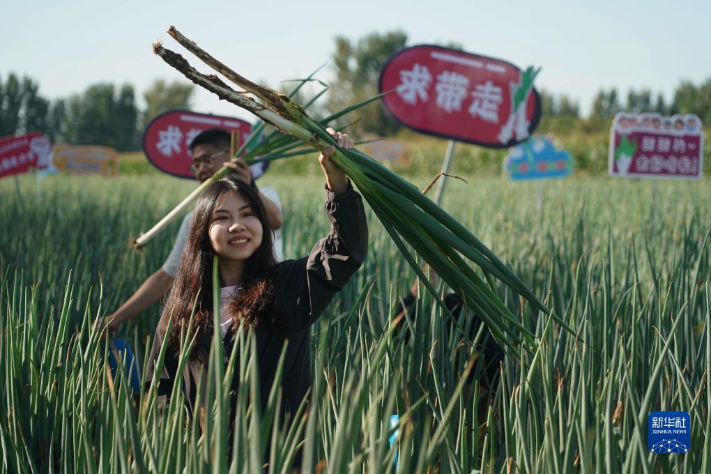 土豪炸金花游戏